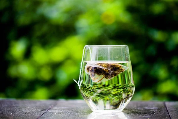 冬の室内害虫対策に！ハーブで観葉植物を守る簡単なコツ