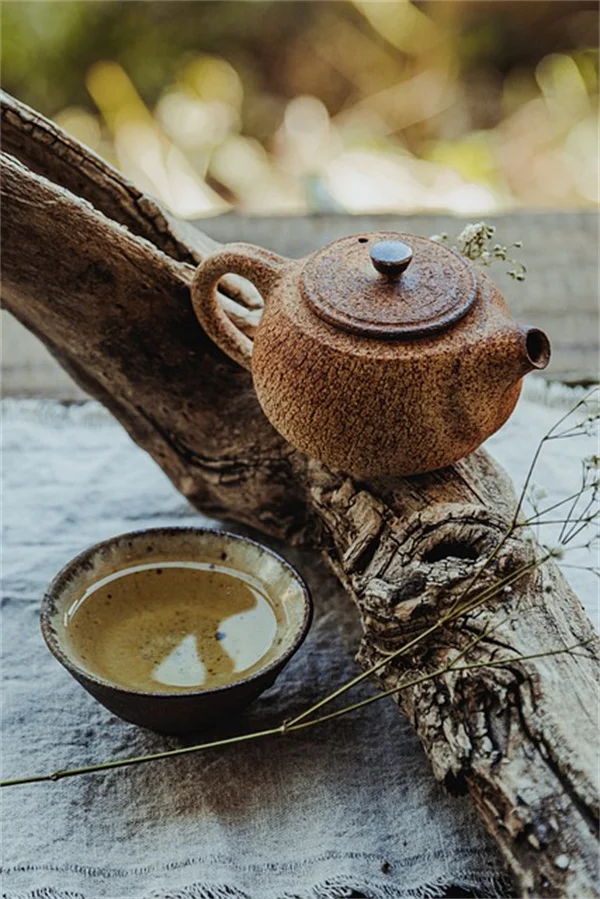 冬の室内害虫対策に！ハーブで観葉植物を守る簡単なコツ